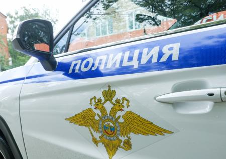 «Намеренно засунули палку»: жертвой подмосковного зоофила стал котенок