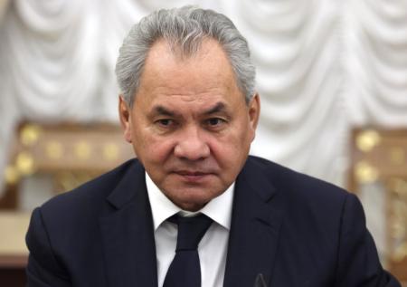 Шойгу потребовал от стран БРИКС осудить героизацию нацистских преступников