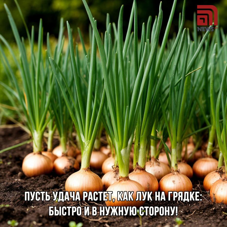 Позитивные открытки в Луков день — 2025 для подруги