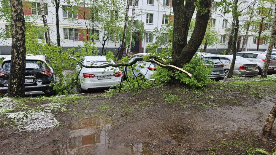 Снегопад в Москве и Московской области