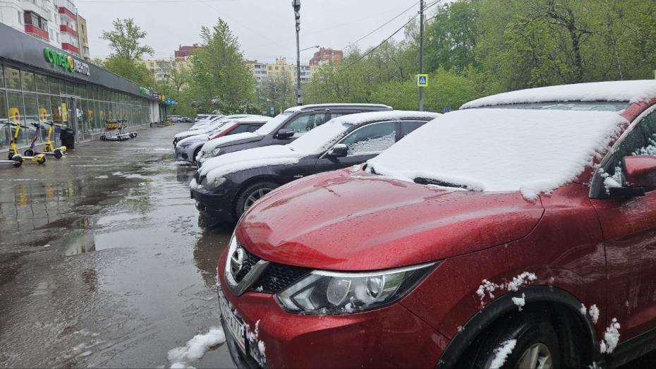 Снегопад в Москве и Московской области