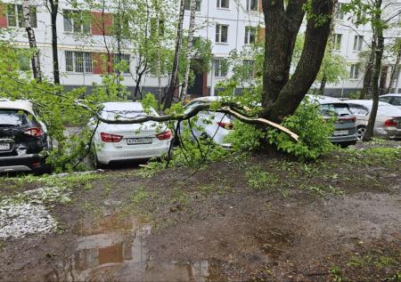 Деревья повредили десятки автомобилей в Москве из-за снега
