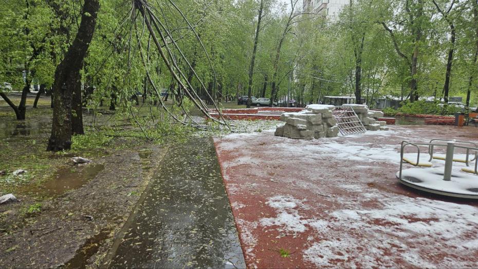 Снегопад в Москве и Московской области