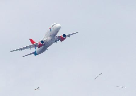 Лиса помешала приземлению пассажирского самолета в Петербурге