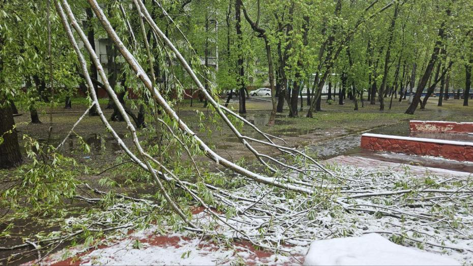 Снегопад в Москве и Московской области