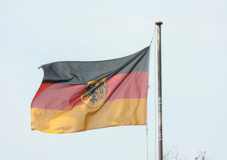МИД Германии вступил в полемику из-за партии АдГ после критики Рубио