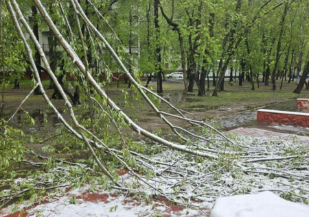 «Передайте Воробьеву, что мы мерзнем»: в Подмосковье больше суток нет тепла