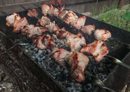 Отдых с шашлыками закончился для школьника серьезными ожогами