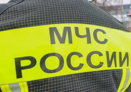 Спасатели из Крыма вызволили собаку, застрявшую на кладбищенской ограде