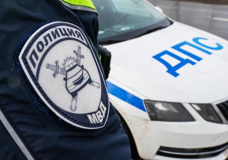 Россиянин опоздал на работу из-за коня на капоте