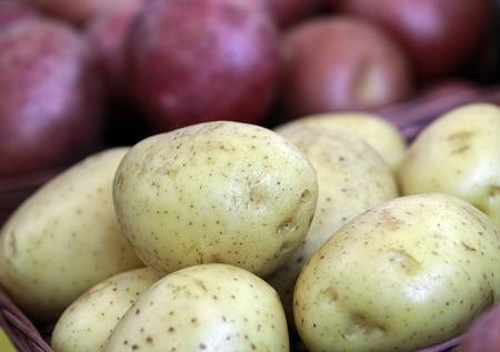Садовод Туманов назвал самый вкусный сорт картошки