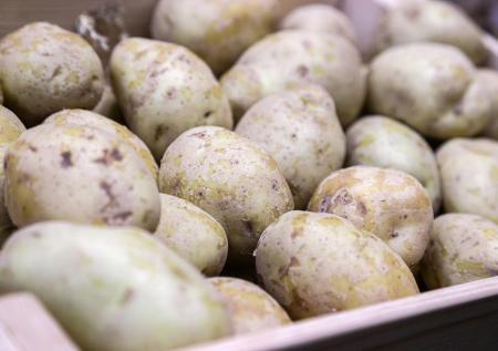 Россия массово закупила картофель у нетрадиционных поставщиков