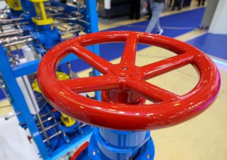 Две европейские страны выступят против отказа от российского газа