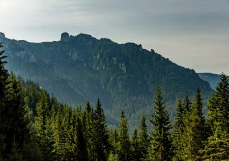 Пятерых украинцев нашли в горах на севере Румынии