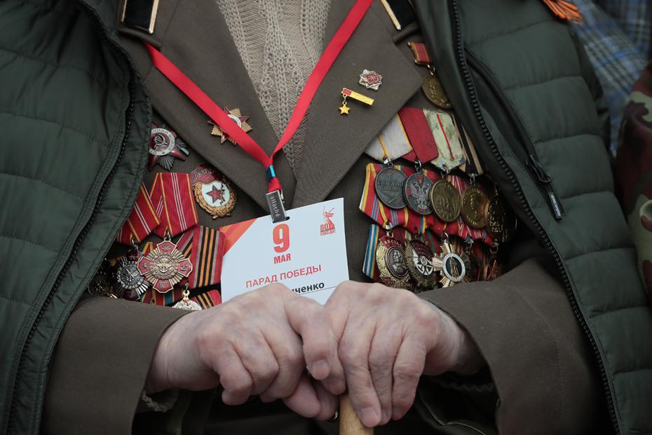 Зритель на военном параде в честь 80-летия Победы в Великой Отечественной войне в Туле
