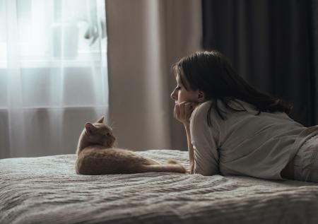 Почему кошка лезет спать с хозяином? 5 причин «постельного» поведения