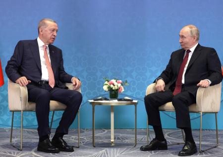 Стало известно, что Путин и Эрдоган обсудили помимо Украины