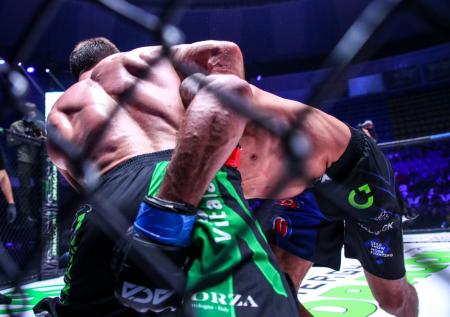 Борцы устроили массовую драку на чемпионате во Владикавказе