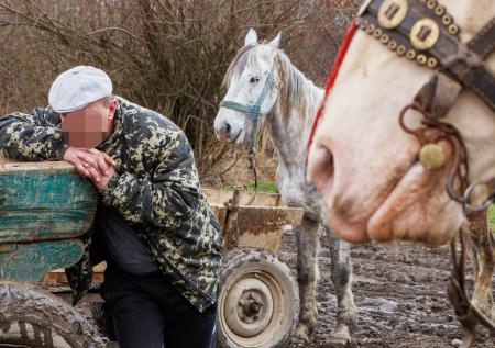 На Украине мужчина с конем едва не оказался мобилизован