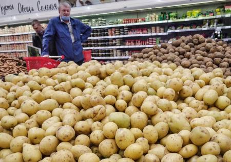 В Союзе картофеля отреагировали на риски неурожая из-за заморозков