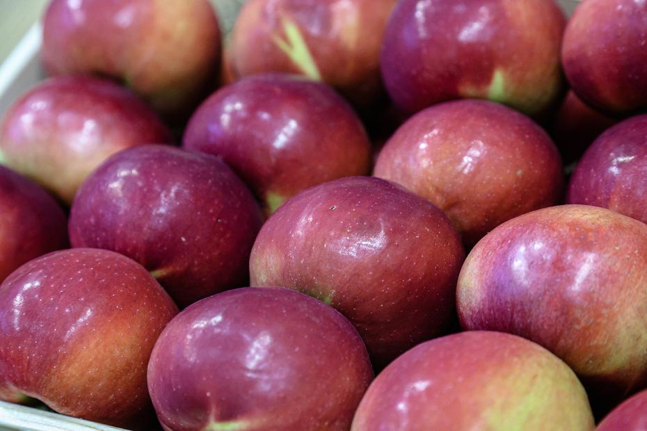 Простой рецепт шарлотки с яблоками