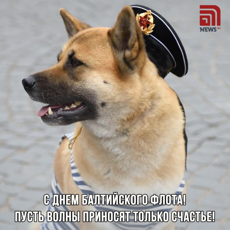Онлайн-открытка с Днем Балтийского флота бесплатно