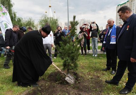 В Москве в честь погибшего Никиты Цицаги высадили кедр
