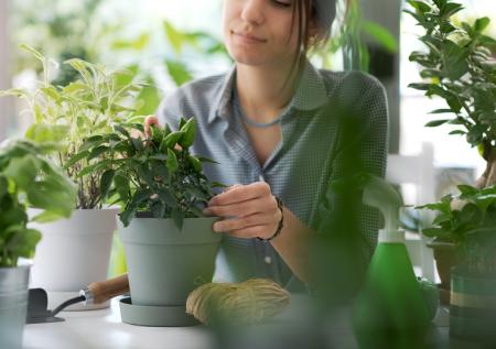 Лайфхаки для ухода за растениями: советы для начинающих