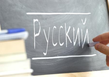 В РФ начнут применять меры к мигрантам, чьи дети провалили тест по русскому