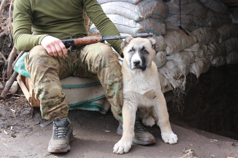 Боец из отряда Аида