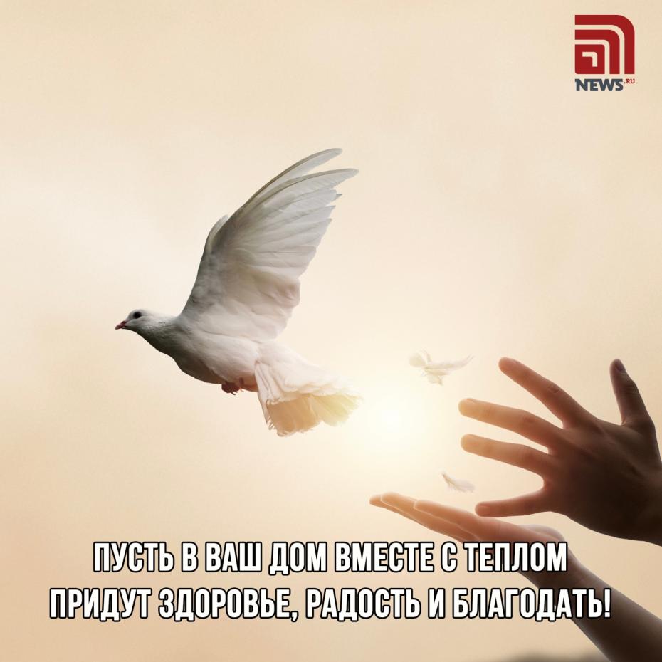 Никола Теплый: 22 мая — картинки для поздравлений