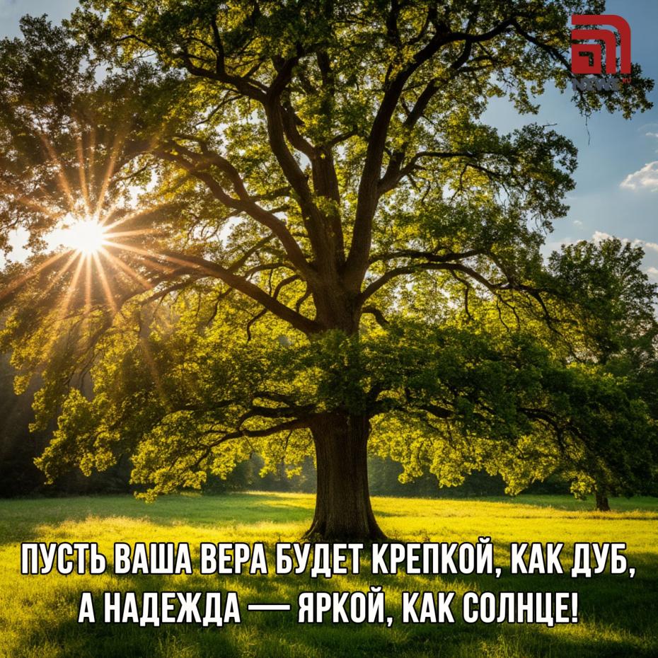 Картинки с поздравлениями на Николу Теплого