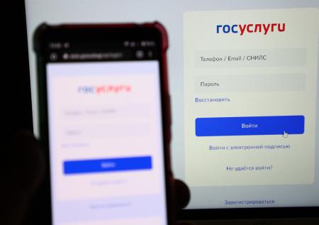 На «Госуслугах» заработал сервис для защиты от интернет-мошенников