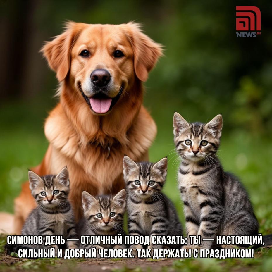 Открытки в Симонов день для подруг