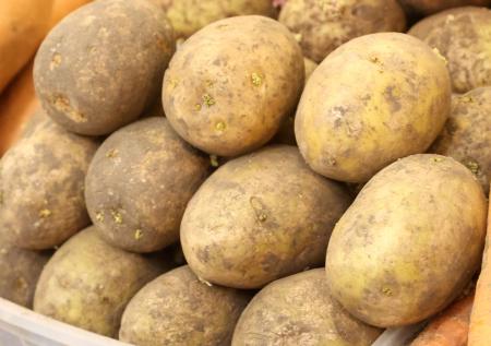 В России могут стабилизироваться цены на картофель