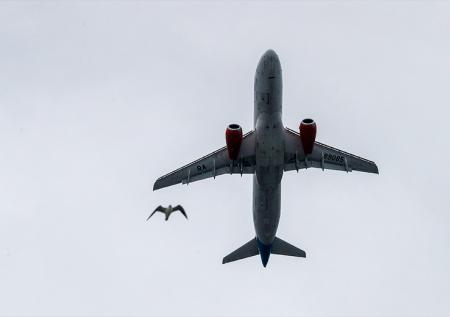 Самолет с освобожденными российскими военными приземлился в Подмосковье