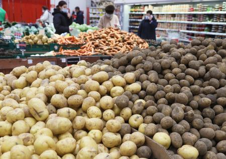 Стало известно, сколько может составить импорт картофеля в Россию
