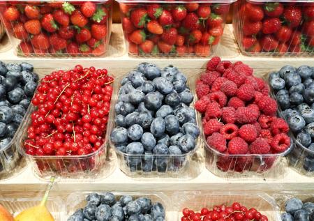 Названы продукты, улучшающие работу мозга