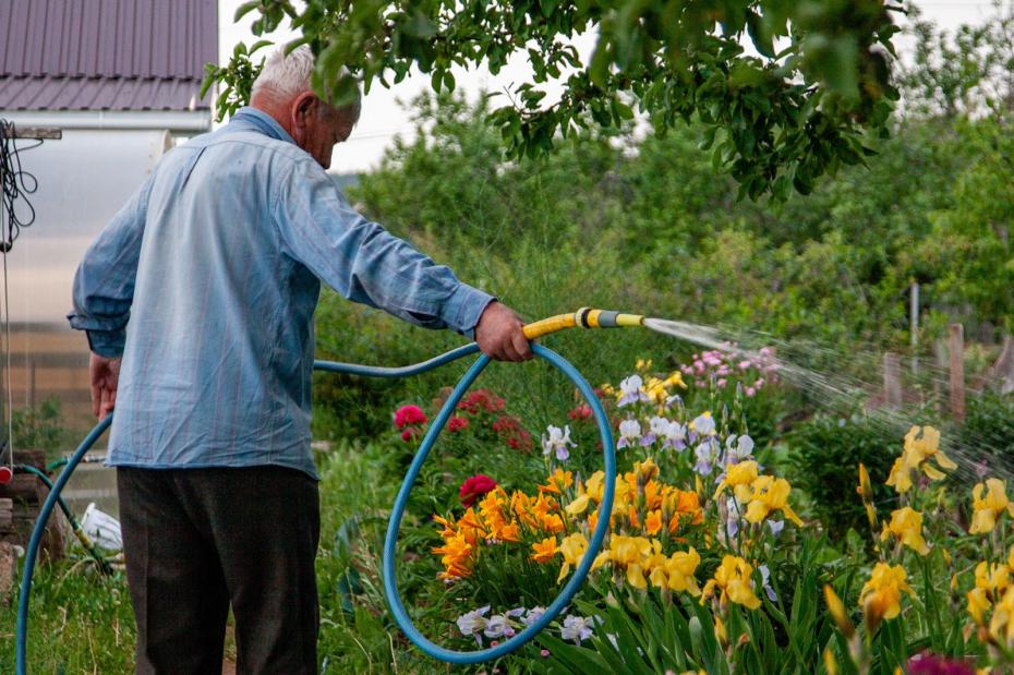 Клумбы и цветники легко сделать своими руками