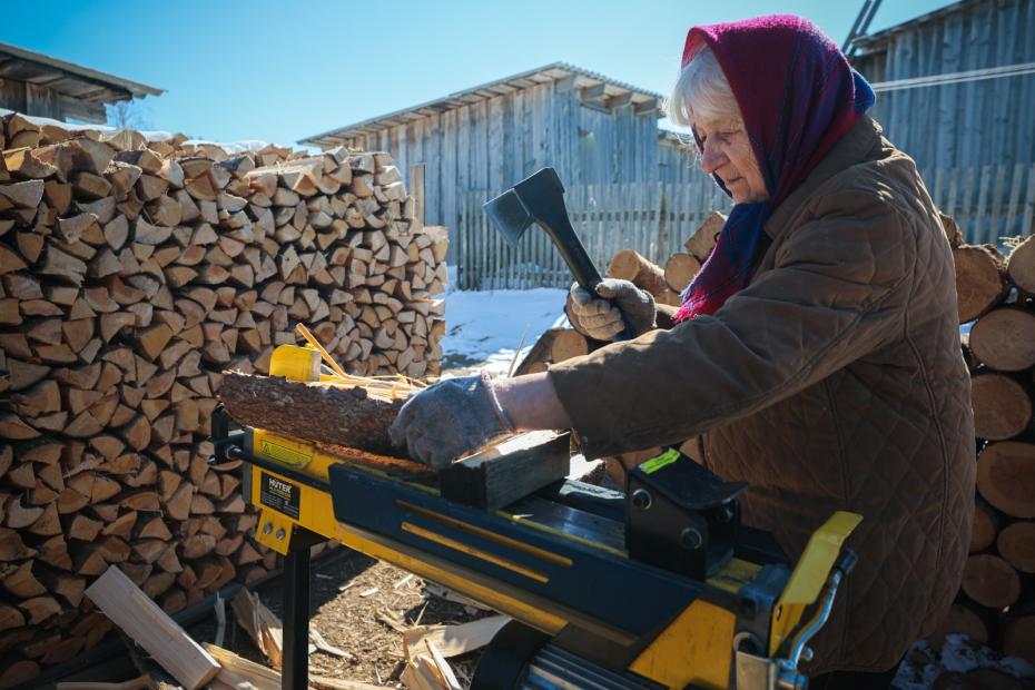 Жительница поселка Белое Озеро колет дрова с помощью электродровокола