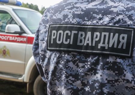 В Подмосковье росгвардейцы с дубинками уснули под деревом и попали на видео