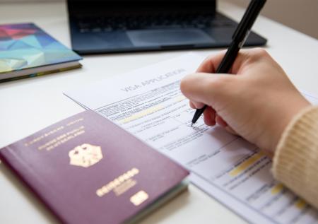 В Германии мигрантам выдали рекордное число паспортов