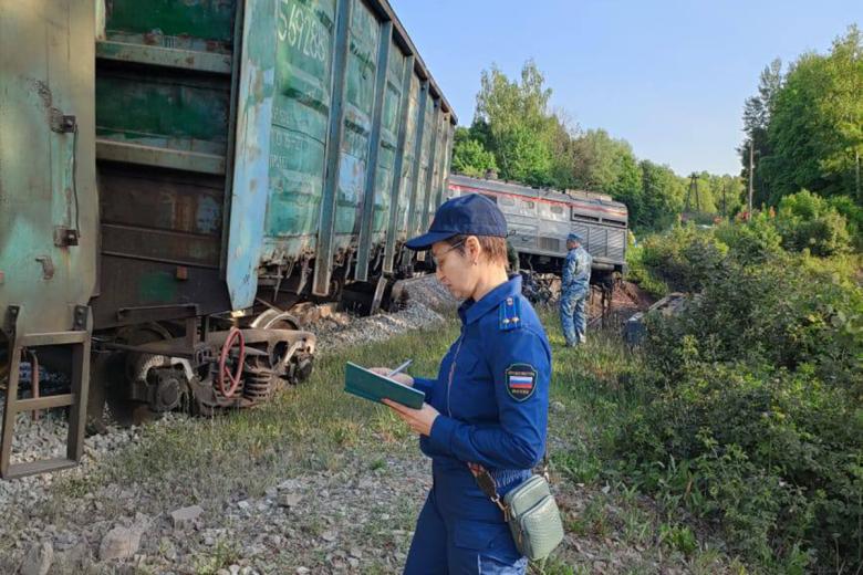 Крушение грузового поезда в Курской области