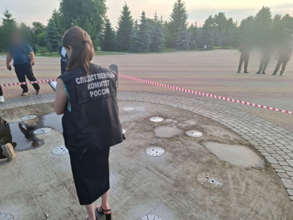 В Белгородской области погибла 13-летняя девочка