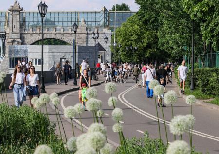 Сильная влажность и духота до +35? Погода в Москве в июле: чего ждать