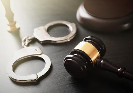 Блогера Шария приговорили к 15 годам лишения свободы на Украине