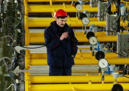Две страны ЕС выступили против запрета на импорт российского газа в Европу