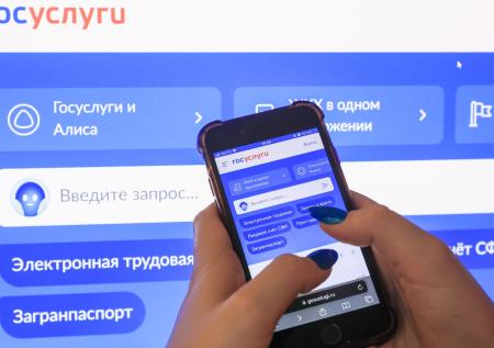 Раскрыто число успешных кибератак на «Госуслуги»