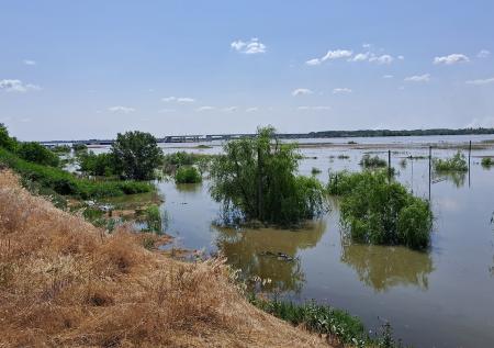 Житель Херсонщины показал, как сейчас выглядит Каховское водохранилище
