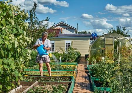 Дачникам объяснили, как законно продать свой урожай